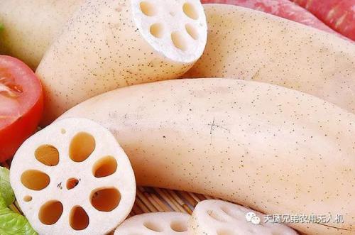 你的藕像，我们护着