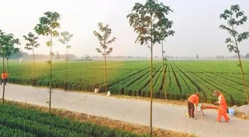 【行业干货】 植保无人机飞防作业农药混用经验