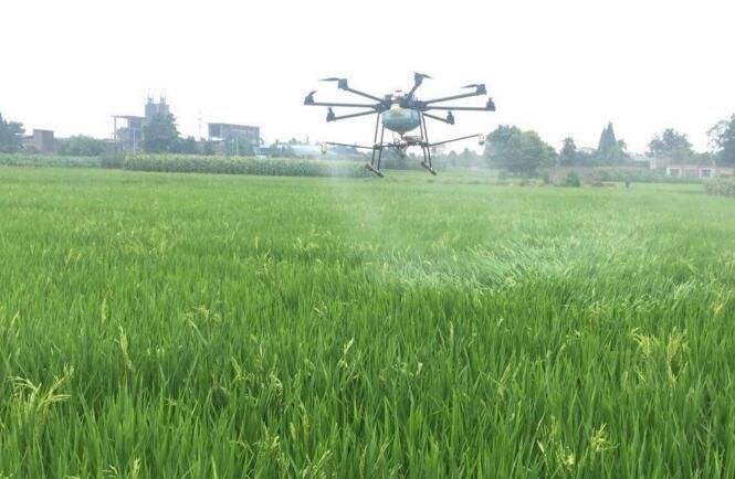 全市农用无人机植保作业补贴政策实施工作座谈会召开