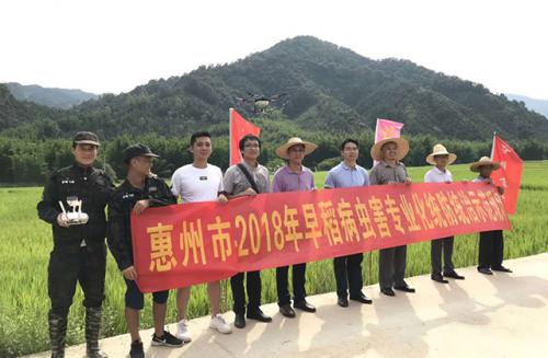 植保无人机助阵水稻统防统治现场观摩会