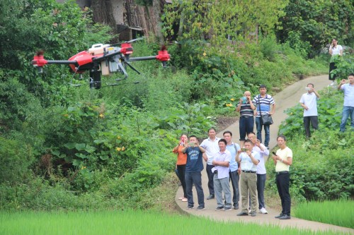 丰都：植保无人机防治水稻重大病虫害