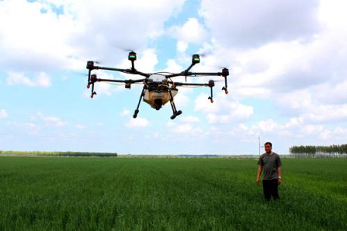 无人机喷施叶面肥