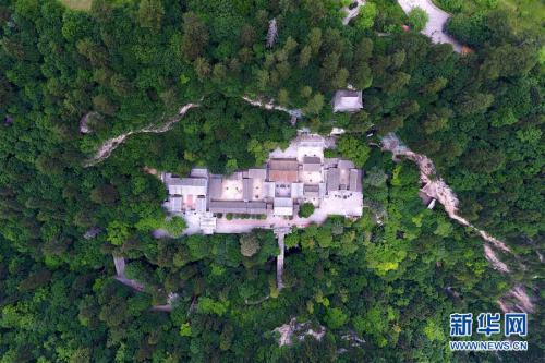 太岳山上的“天然氧吧”