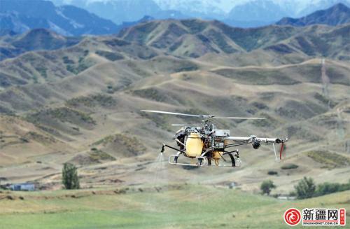 高科技助力乌鲁木齐农区治蝗