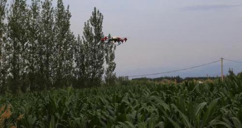 农业植保无人机飞进昌吉市佃坝村 村民受益多