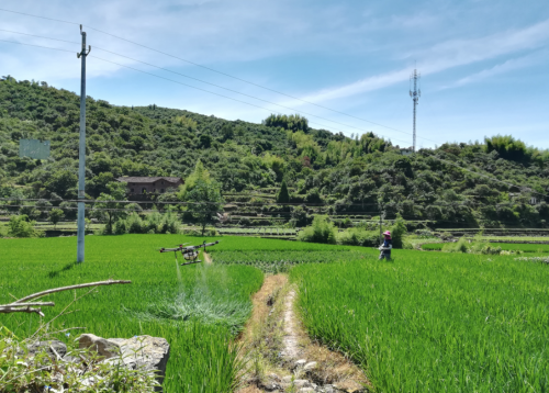 人保财险金华市分公司：把握发展新趋势 政企携手共推无人机保险