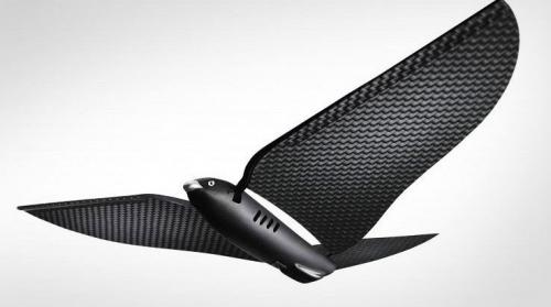 无法被觉察到的间谍--仿生鸟无人机