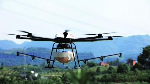 国务院常务会议部署”互联网+农业” 京东打通线上线下助力乡村振兴