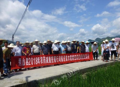 重庆市秀山自治县开展无人机水稻病虫施药演示