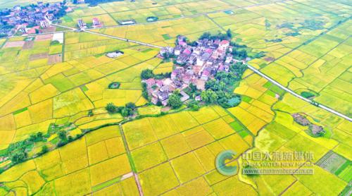 江西永丰县：水足粮丰