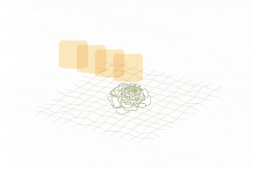 孟山都：告诉你不为所知的农田“高科技”