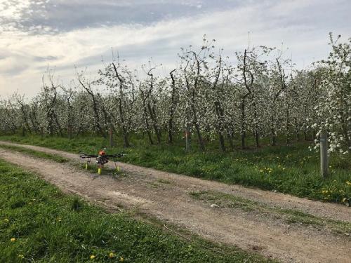 Dropcopter自主无人机可大幅提升作物授粉率