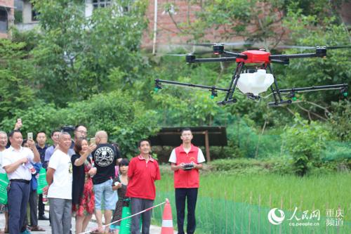 巴南：无人机助贫困残疾人洒农药 可免费申请