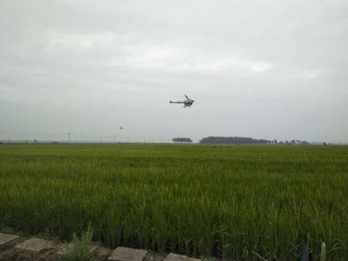 20架无人机在望奎开展植保作业