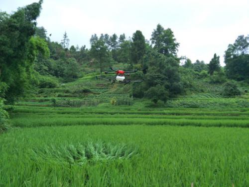 重庆“科技助残”试点 植保无人机省劳力
