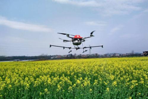 乌龙镇植保无人机洒农药治虫害