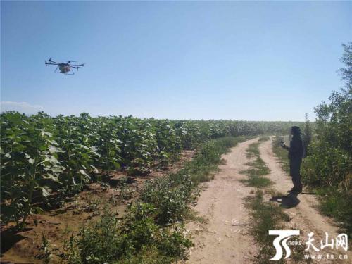 【改革开放40年】农业机械化插上科技翅膀