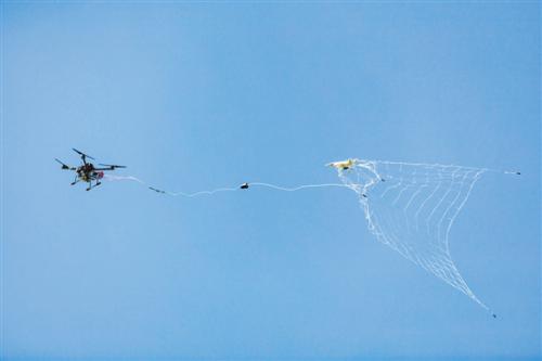“蜘蛛侠”无人机 专治“黑飞”