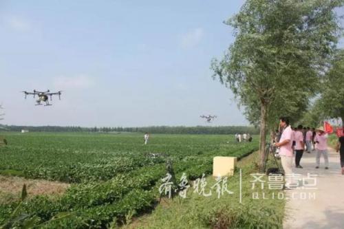 青岛首次用无人机给10万亩花生喷药 效率是人工90倍
