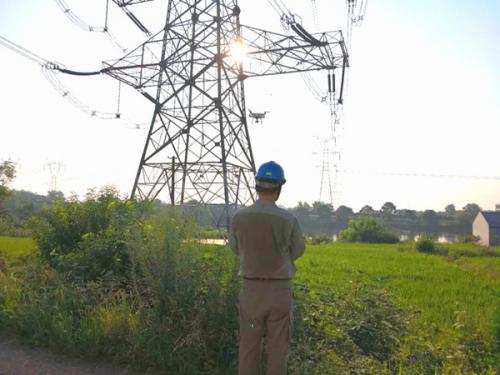 湖北：高温“烤”验 无人机来巡线