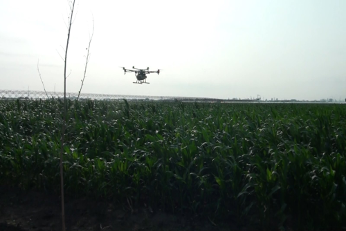 四平市开展植保无人机绿色飞防作业