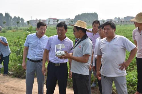 无人机喷洒农药力量大!一天喷完500亩花生