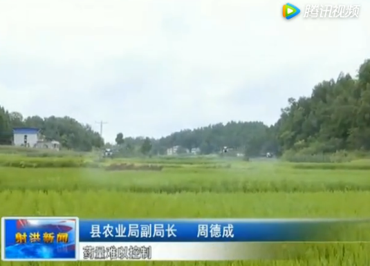 飞狐航空植保作业队赴四川射洪开展水稻病虫害统防统治