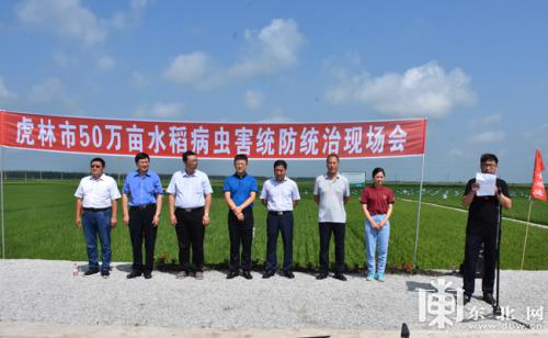 虎林开启预防水稻病虫害新模式 无人机飞到田间地头