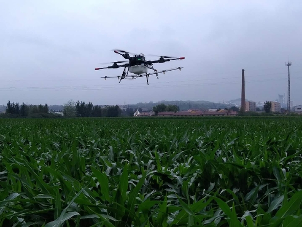 植保无人机“飞进” 淄博淄川百姓家