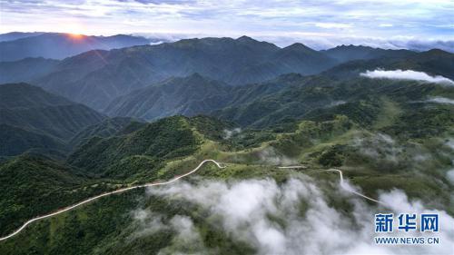 正阳草甸：在青山幽谷间享受清凉世界