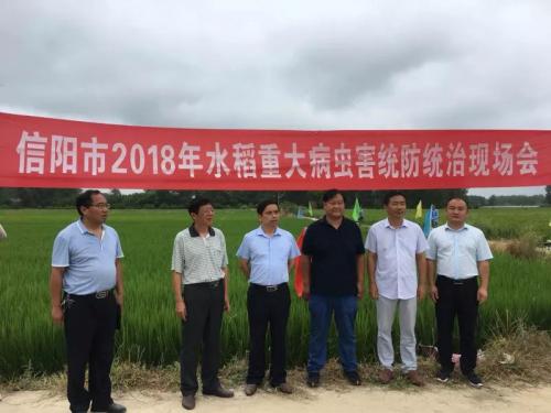 罗山县2万亩优质水稻病虫害统防统治正式启动