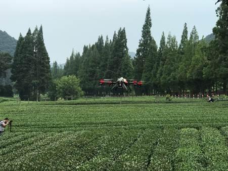 无人机飞进杭州梅家坞茶园 解决茶农“老大难”问题