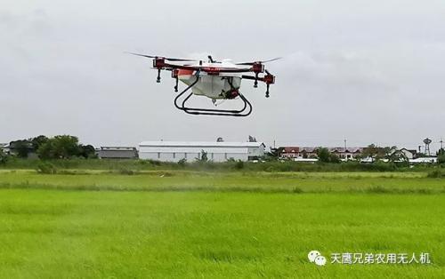 你知道吗？在海外有我们正在守护的对象