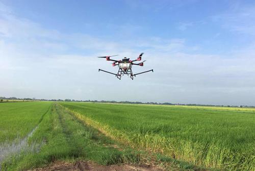 泰国利用无人机喷洒农药成本低效率高