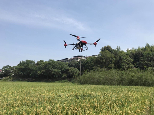 建瓯南雅镇：飞在农田上空的“宝贝”
