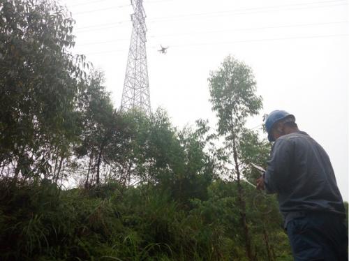 崇左供电局紧急消缺确保电网安全运行