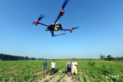 聊城无人机防治病虫害 现代农业再出新招