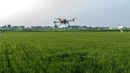 南通市农业新技术推广协会启动水稻田植保无人机田间试验	