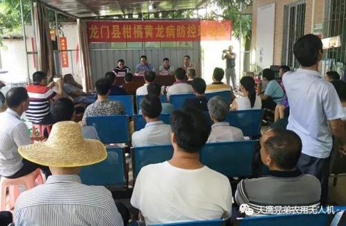 天鹰兄弟助力柑橘黄龙病综合防控