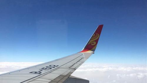 使用无人驾驶飞行器的鸟群机器人将确保鸟类能够避开机场