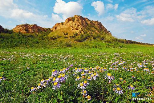 宁夏回族自治区成立60周年|无人机“瞰”四季宁夏