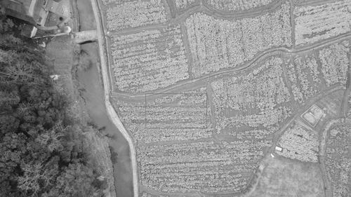 遥感更“懂”农情