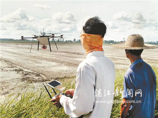 万亩洋田将演“天外飞仙” 省钱高效农民“笑到飞起”