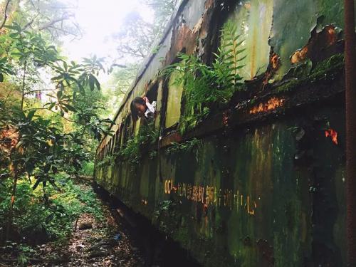 从密林隐秘列车到 ins 风咖啡店，零零无人机带你打卡杭州“文艺圈儿”