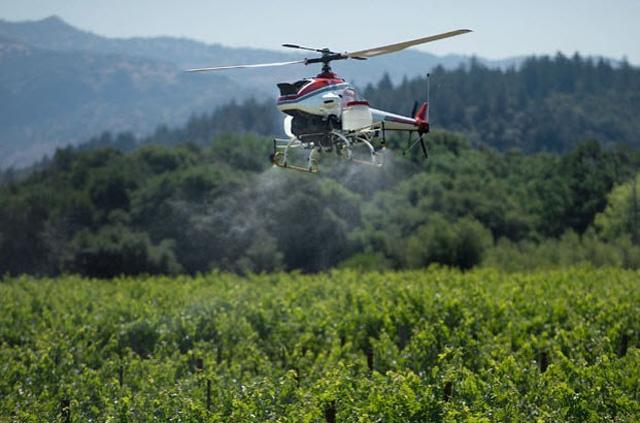 “户县葡萄”搭乘无人机飞来了