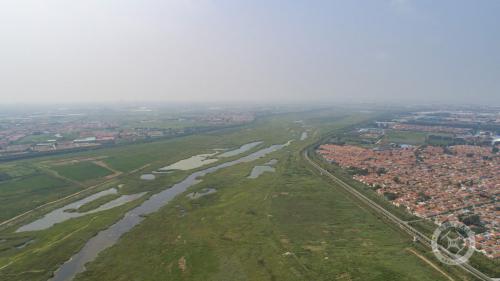 瞰青岛新变迁⑨：青岛母亲河再现生态美景