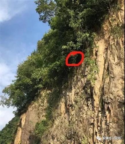 无人机飞挂悬崖，机主“救机”遇险，石泉警方火速救援