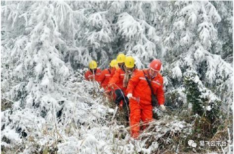 机智过人｜电力巡检小能手