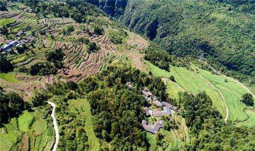 黔江：无人机航拍千亩瓜蒌基地助农增收