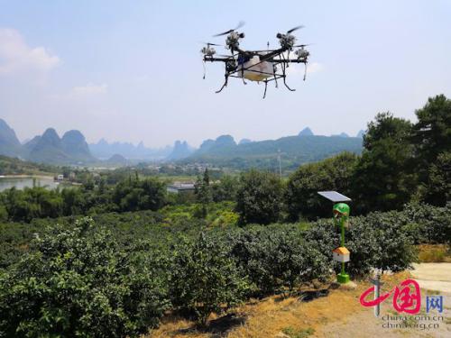 广西阳朔：无人机助力产业脱贫